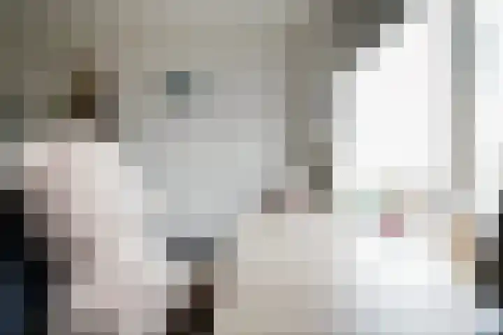 van Goltsteinstraat 24 Putten thumbnail 38