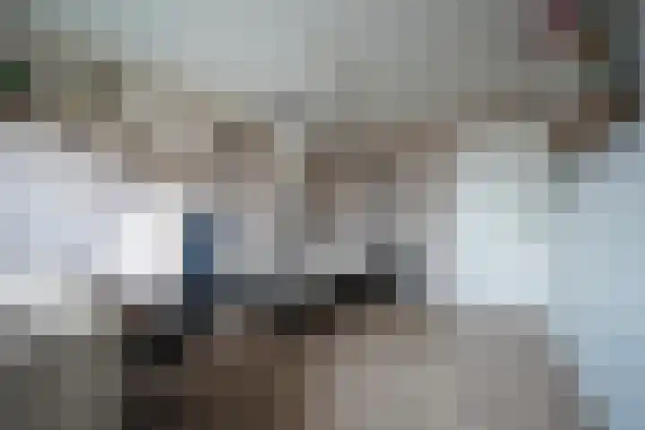 van Goltsteinstraat 24 Putten thumbnail 39