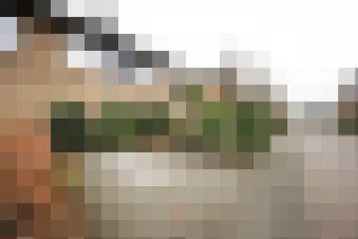 van Goltsteinstraat 24 Putten thumbnail 4