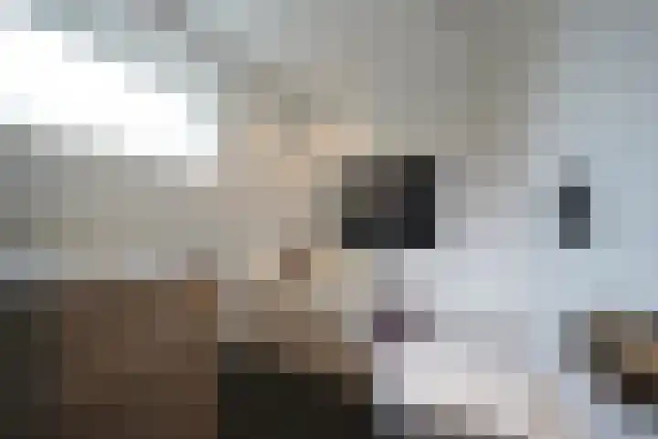 van Goltsteinstraat 24 Putten thumbnail 41