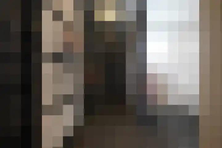 van Goltsteinstraat 24 Putten thumbnail 44