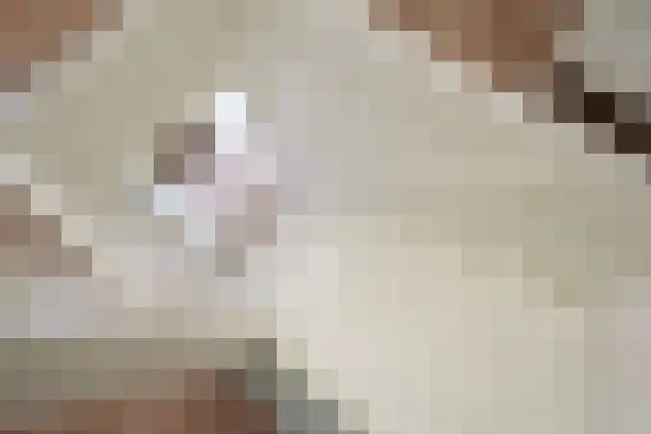 van Goltsteinstraat 24 Putten thumbnail 45