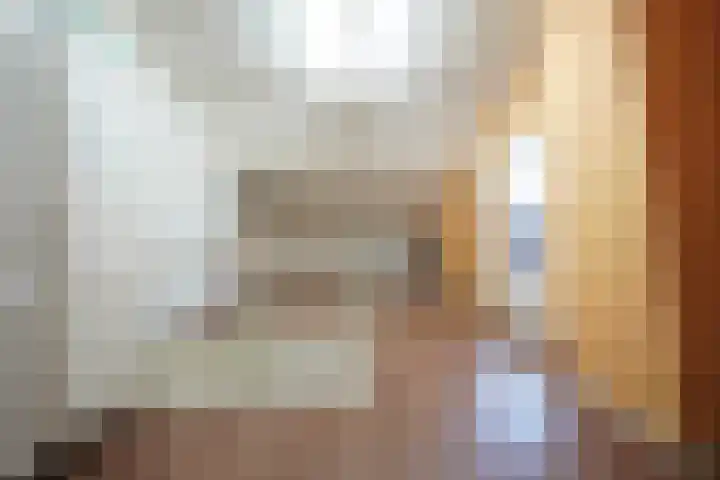 van Goltsteinstraat 24 Putten thumbnail 46