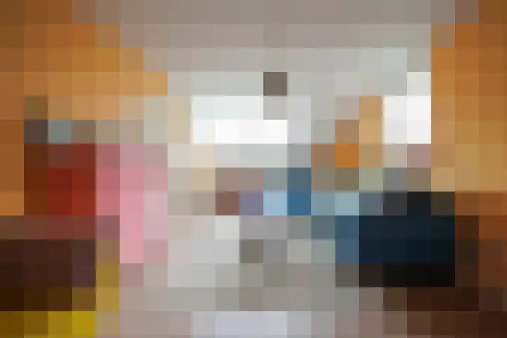 van Goltsteinstraat 24 Putten thumbnail 48