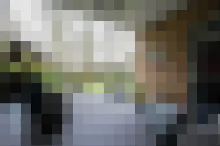 van Goltsteinstraat 24 Putten thumbnail 51