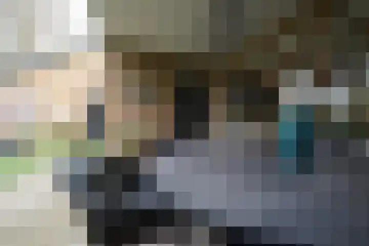 van Goltsteinstraat 24 Putten thumbnail 52