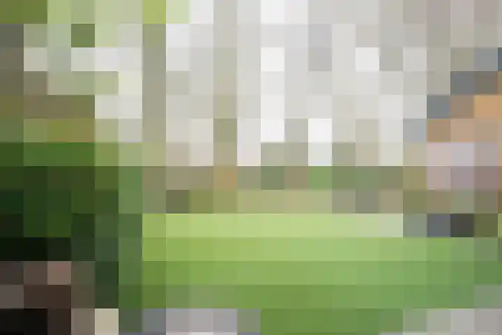 van Goltsteinstraat 24 Putten thumbnail 53