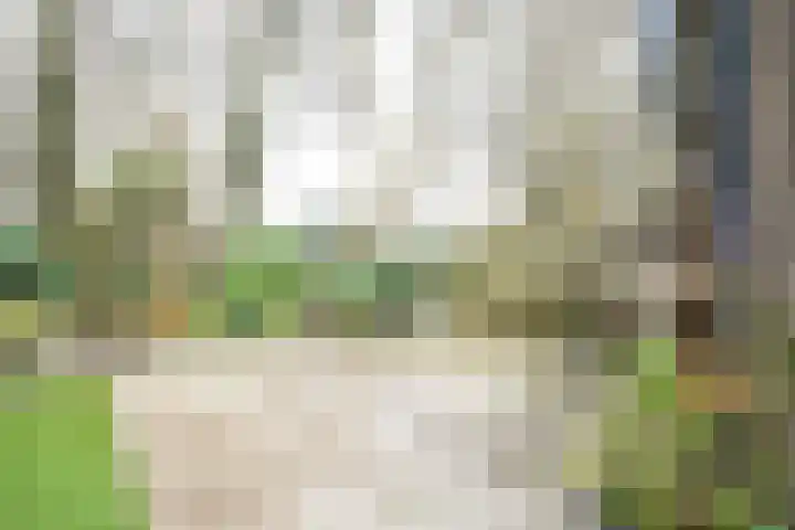 van Goltsteinstraat 24 Putten thumbnail 55