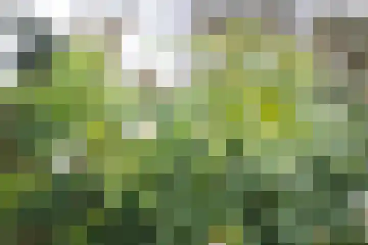 van Goltsteinstraat 24 Putten thumbnail 56