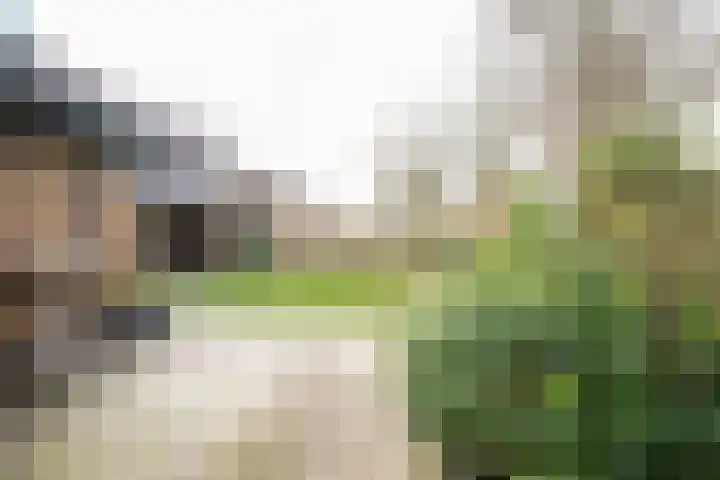 van Goltsteinstraat 24 Putten thumbnail 57
