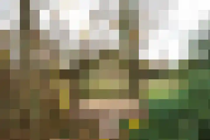 van Goltsteinstraat 24 Putten thumbnail 58