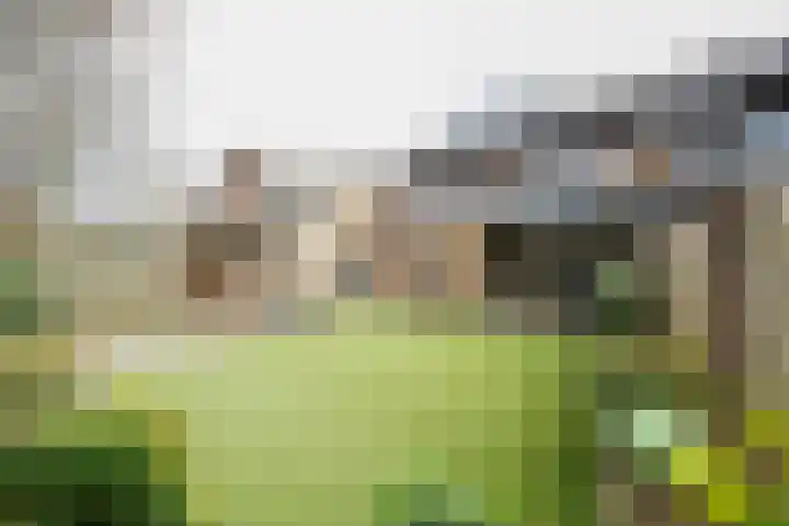 van Goltsteinstraat 24 Putten thumbnail 59