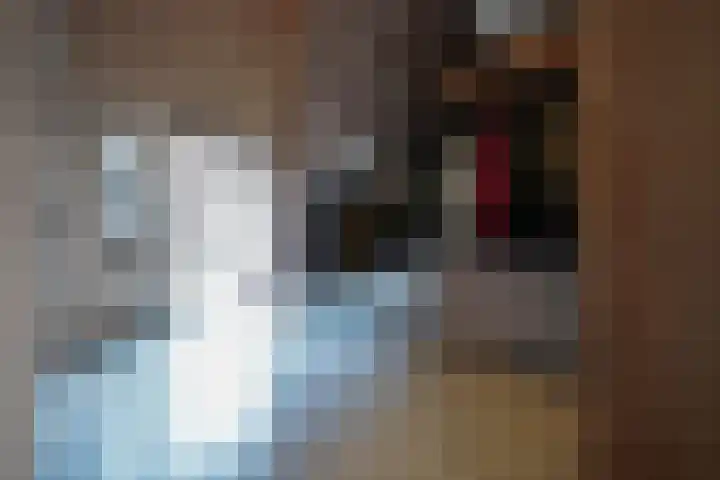 van Goltsteinstraat 24 Putten thumbnail 6