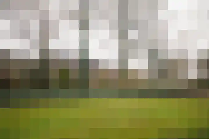 van Goltsteinstraat 24 Putten thumbnail 60
