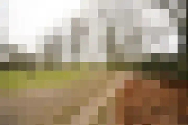 van Goltsteinstraat 24 Putten thumbnail 61