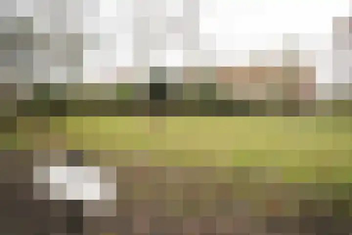 van Goltsteinstraat 24 Putten thumbnail 62