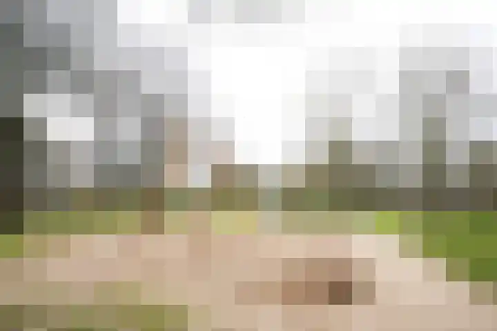 van Goltsteinstraat 24 Putten thumbnail 63