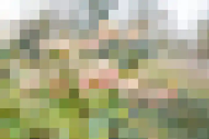 van Goltsteinstraat 24 Putten thumbnail 64