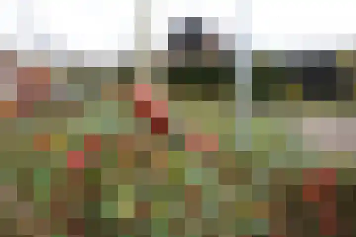 van Goltsteinstraat 24 Putten thumbnail 66