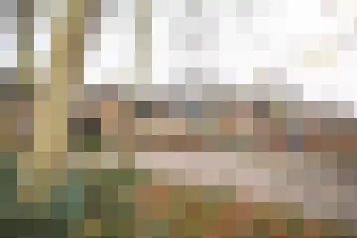 van Goltsteinstraat 24 Putten thumbnail 67
