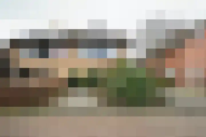 van Goltsteinstraat 24 Putten thumbnail 68