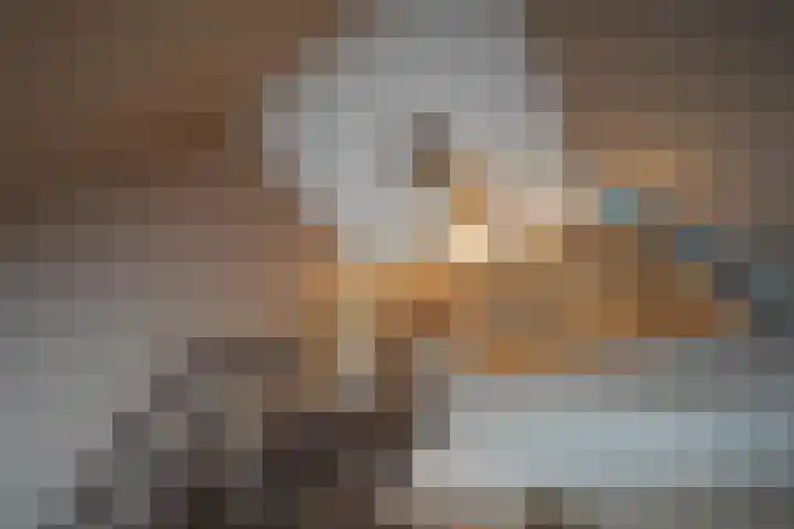 van Goltsteinstraat 24 Putten thumbnail 7