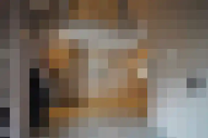 van Goltsteinstraat 24 Putten thumbnail 8