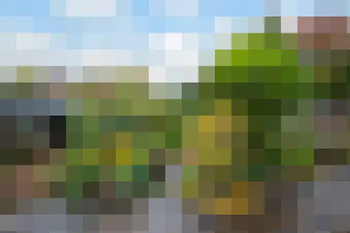 van Goltsteinstraat 36 Putten thumbnail 26