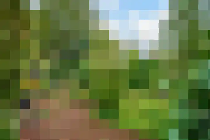 van Goltsteinstraat 36 Putten thumbnail 27