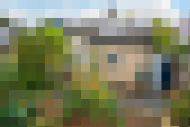 van Goltsteinstraat 36 Putten thumbnail 28