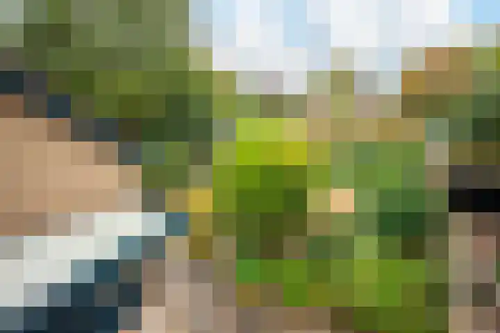 van Goltsteinstraat 36 Putten thumbnail 29