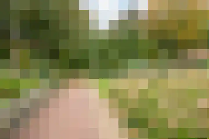 van Goltsteinstraat 36 Putten thumbnail 30
