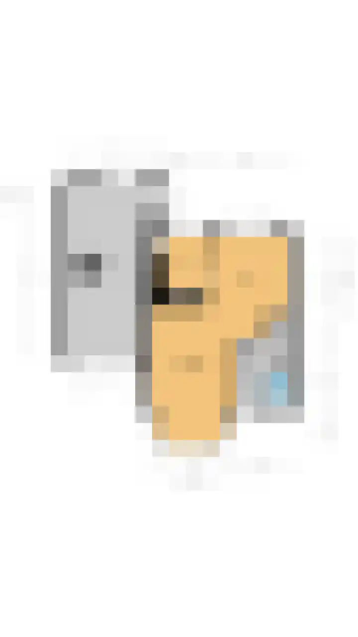 van Goltsteinstraat 36 Putten thumbnail 31