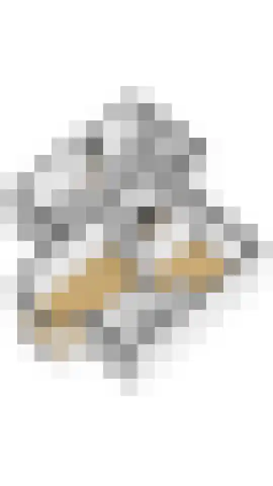 van Goltsteinstraat 36 Putten thumbnail 35