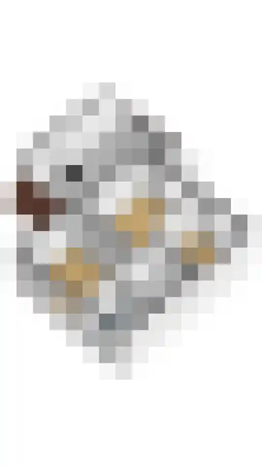 van Goltsteinstraat 36 Putten thumbnail 36