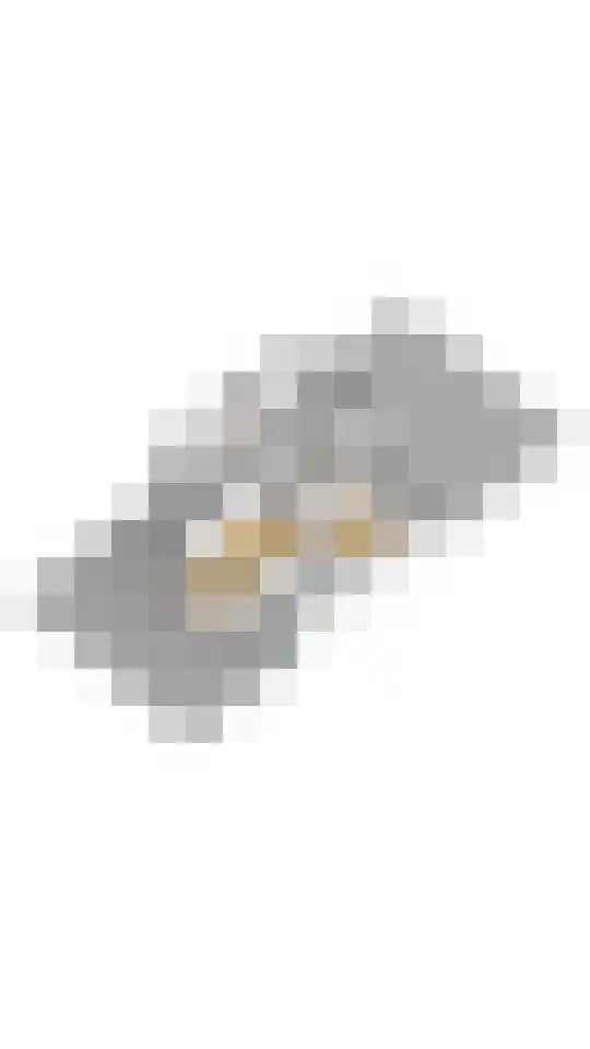 van Goltsteinstraat 36 Putten thumbnail 38