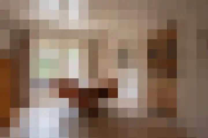 van Goltsteinstraat 36 Putten thumbnail 9
