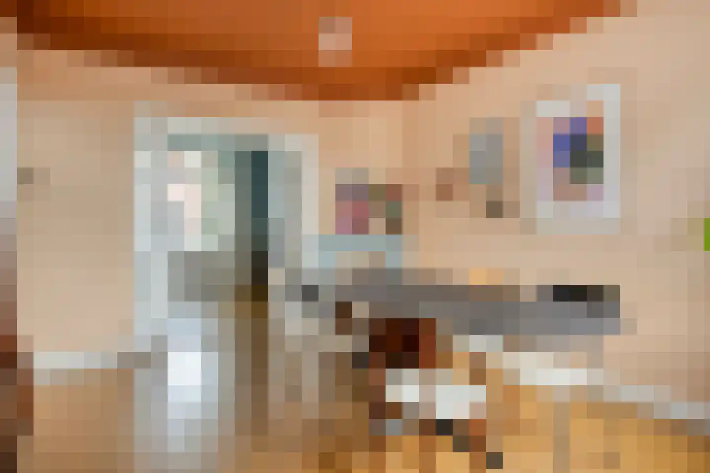 Van Goorstraat 1 a Tilburg thumbnail 16