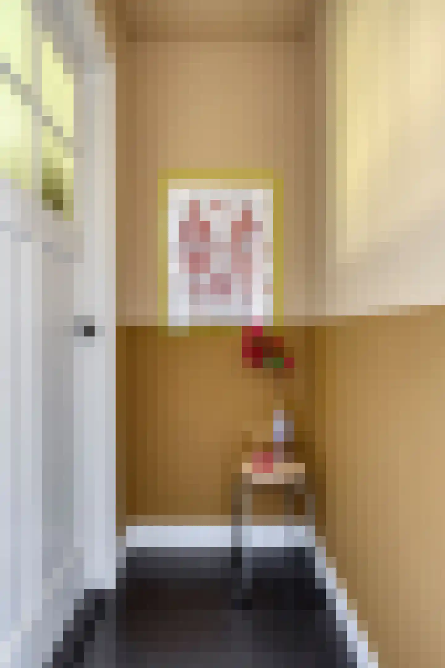Van Goorstraat 1 a Tilburg thumbnail 36