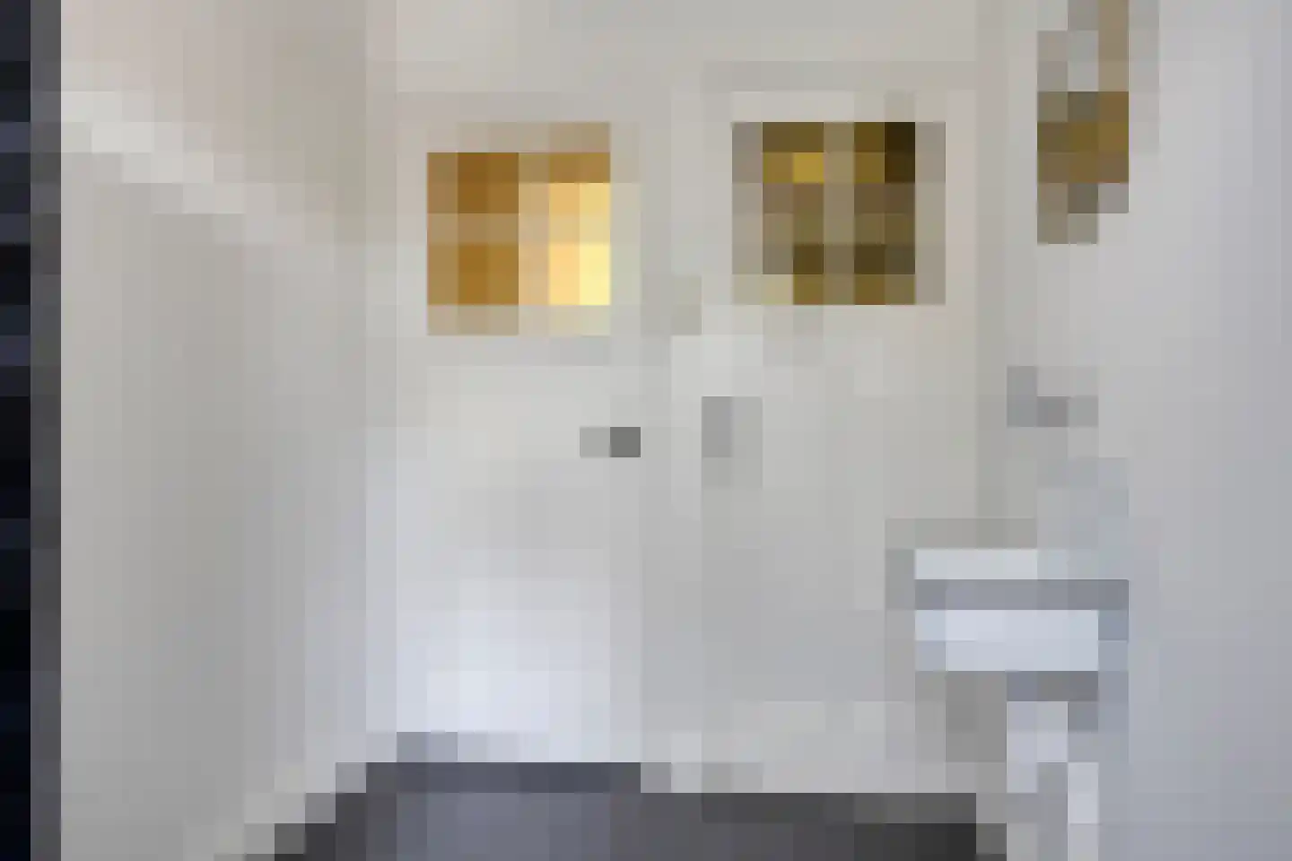 Van Goorstraat 1 a Tilburg thumbnail 43