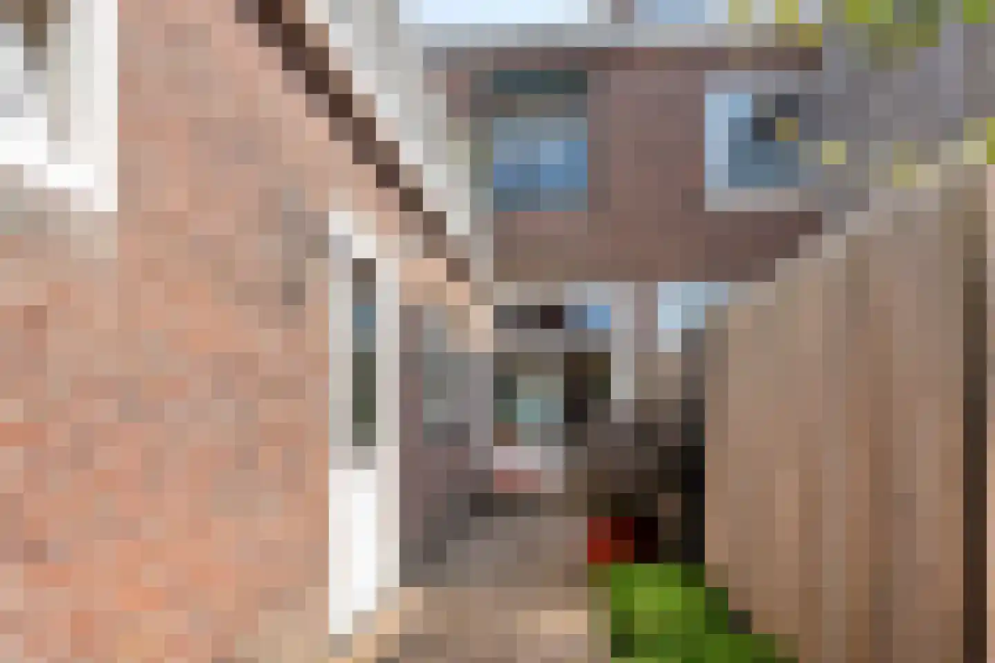 Van Goorstraat 1 a Tilburg thumbnail 5
