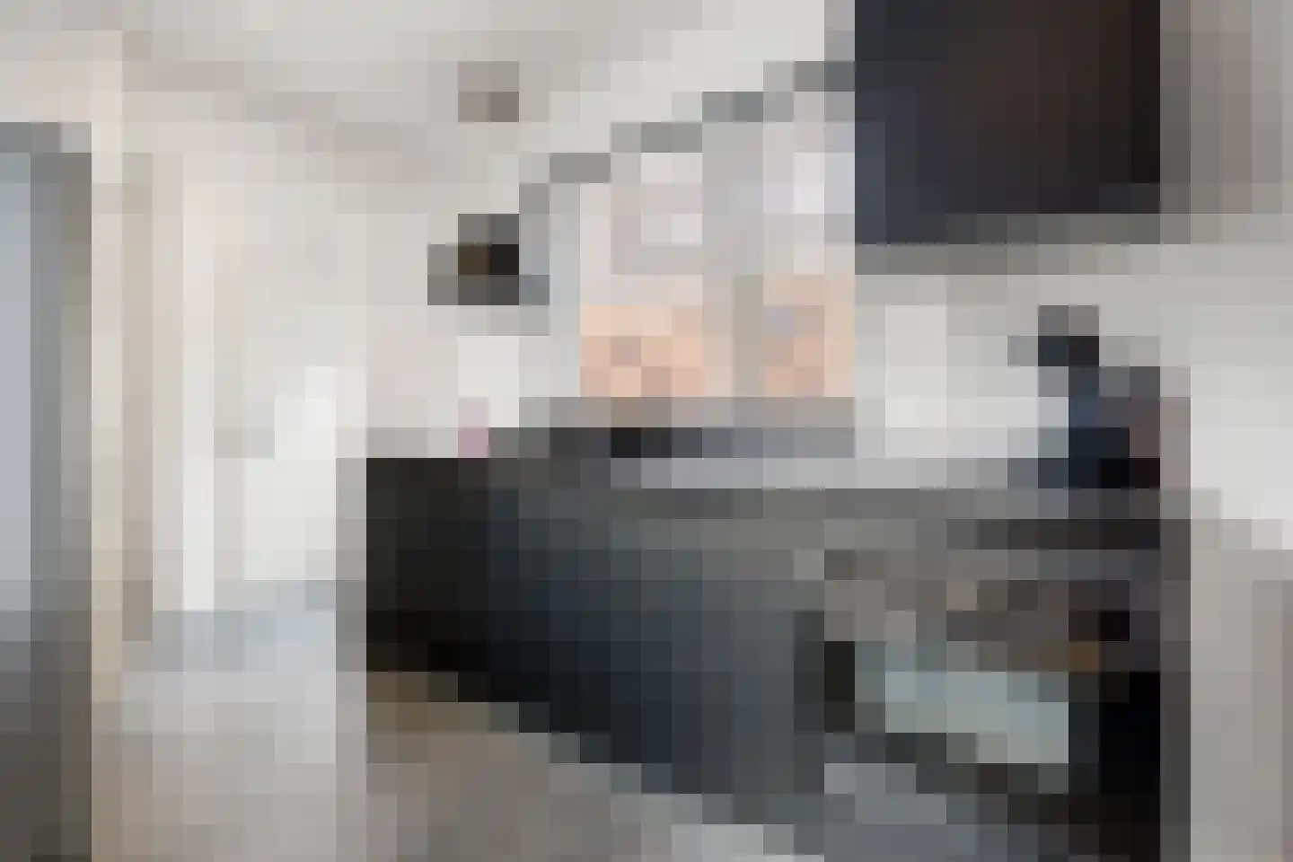 Van Goorstraat 2 Tilburg thumbnail 10