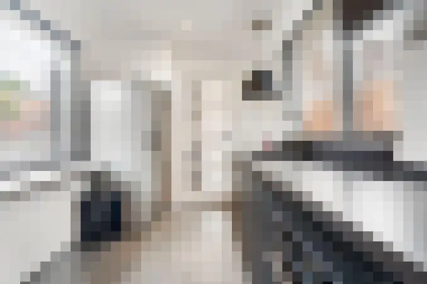 Van Goorstraat 2 Tilburg thumbnail 11