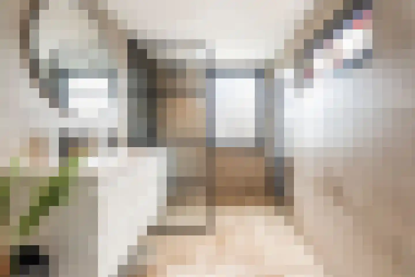 Van Goorstraat 2 Tilburg thumbnail 20