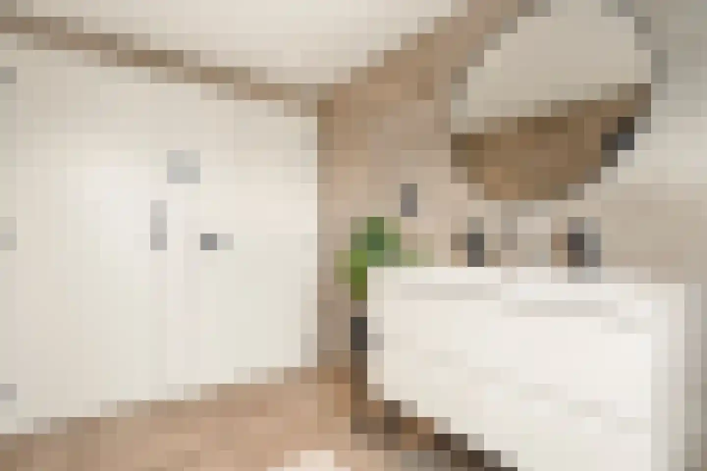 Van Goorstraat 2 Tilburg thumbnail 23