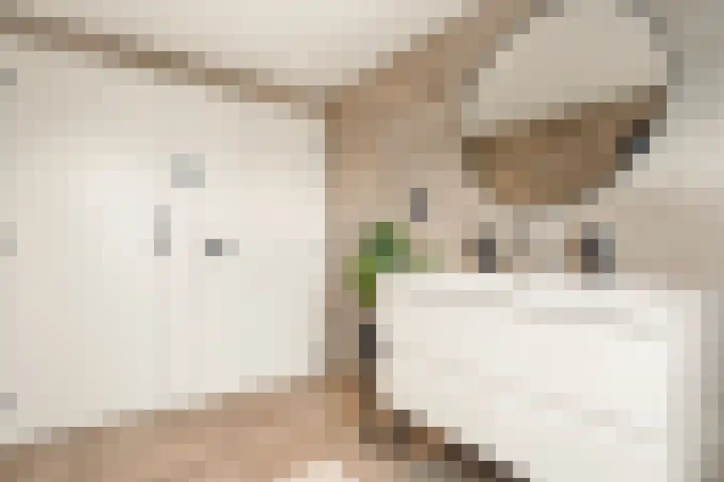 Van Goorstraat 2 Tilburg thumbnail 24