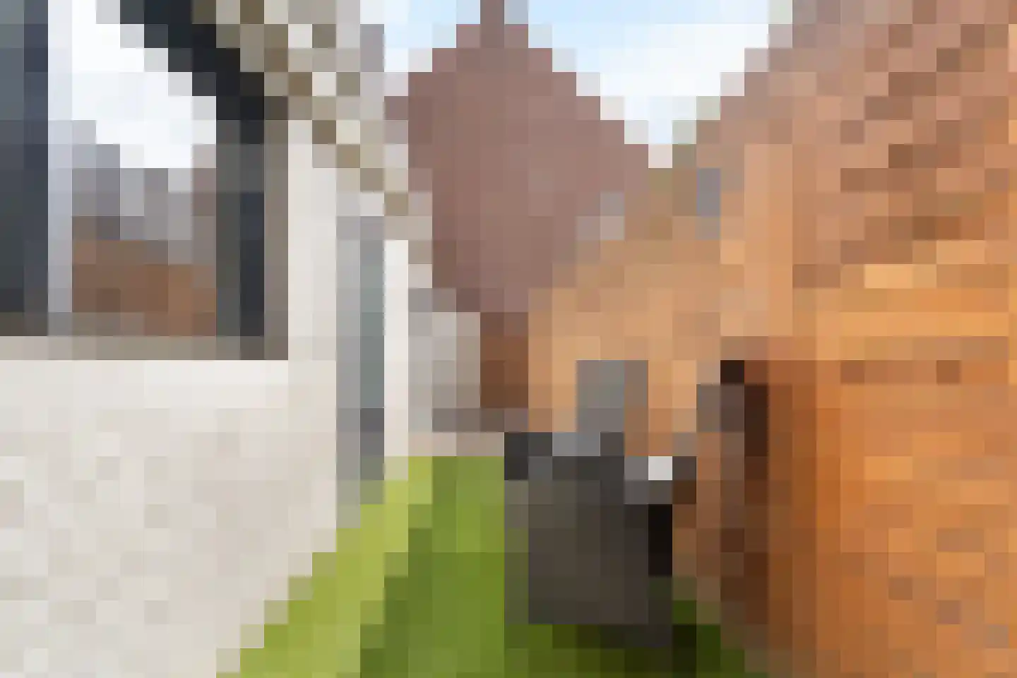 Van Goorstraat 2 Tilburg thumbnail 31