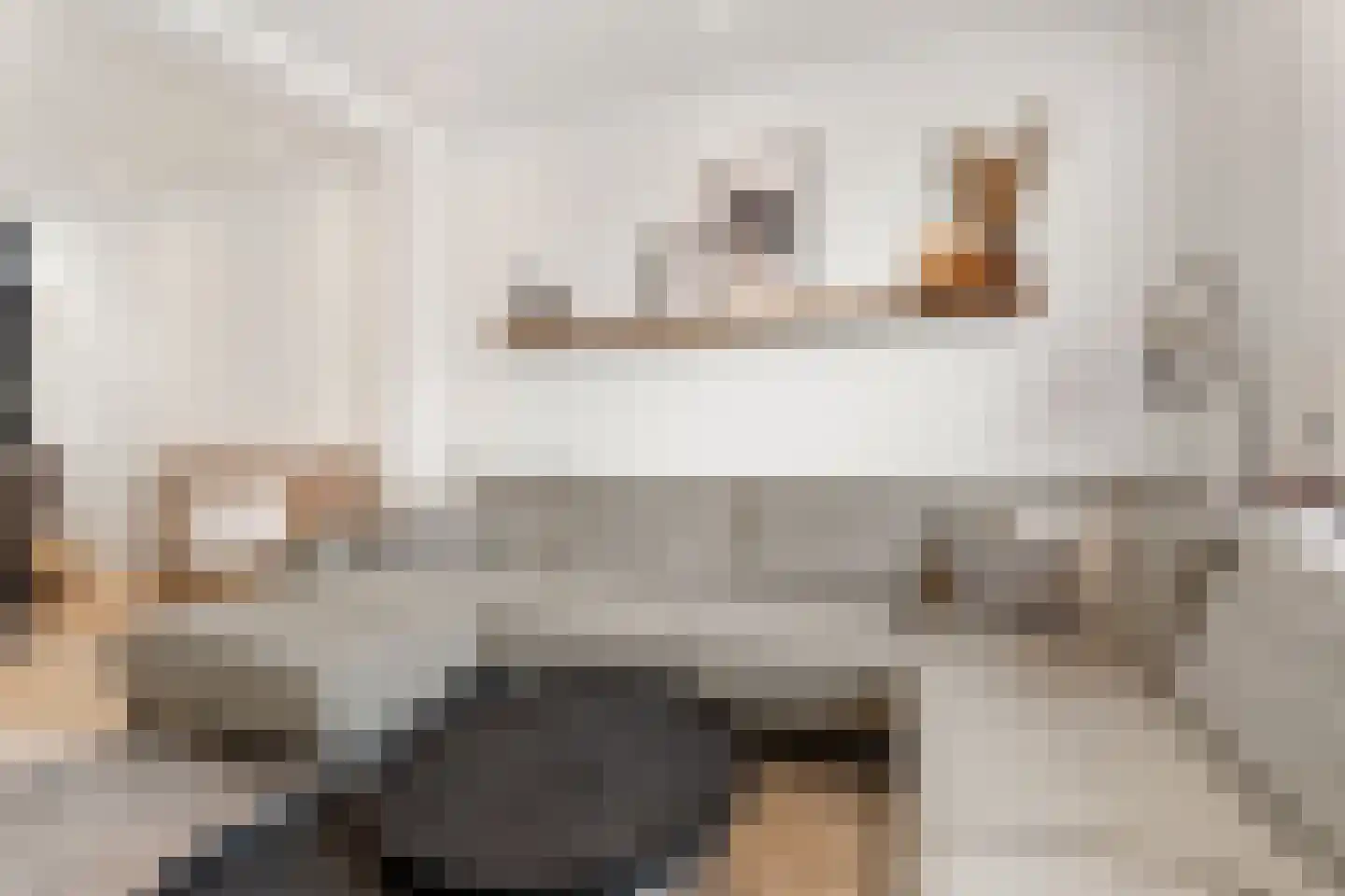 Van Goorstraat 2 Tilburg thumbnail 6