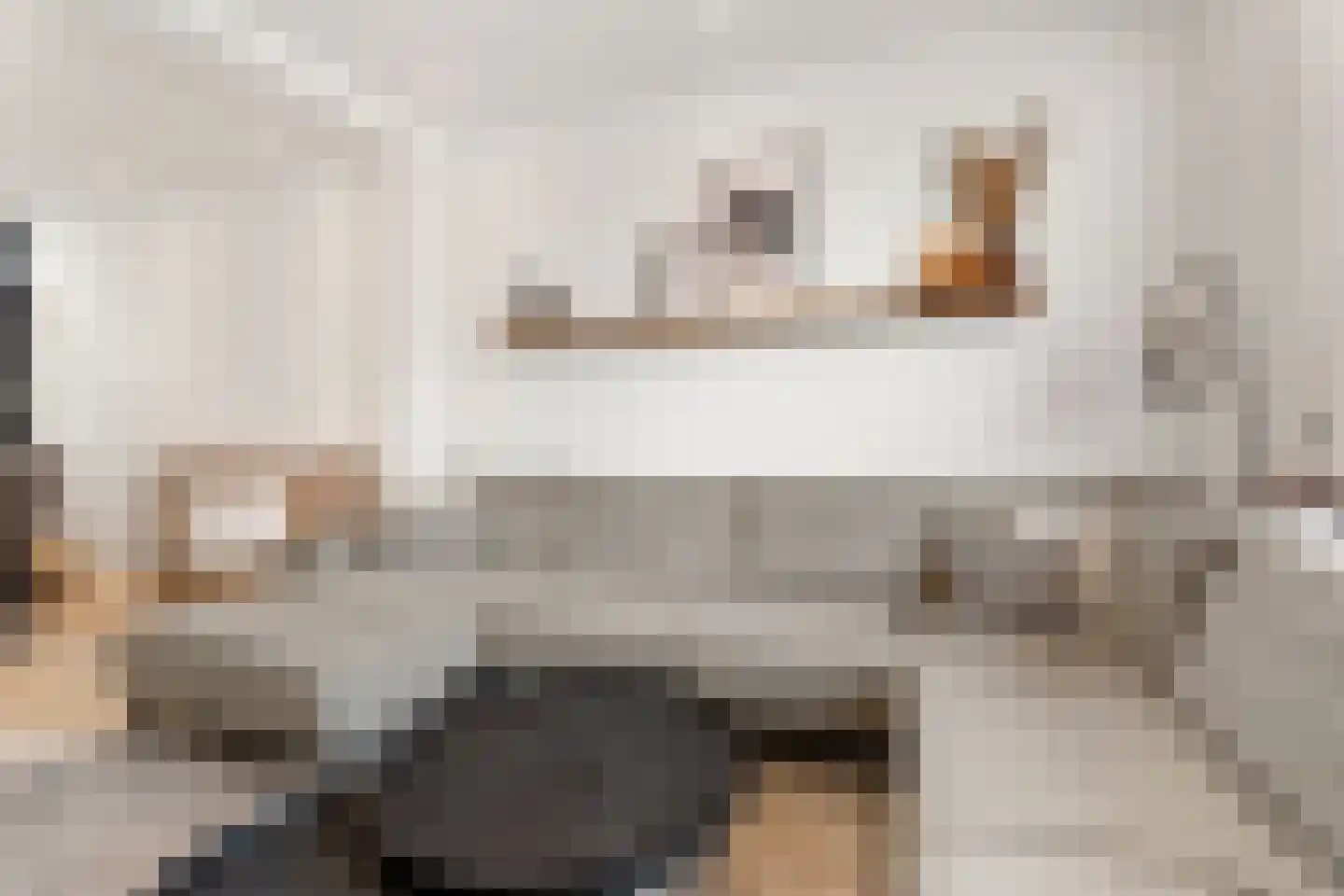 Van Goorstraat 2 Tilburg thumbnail 7