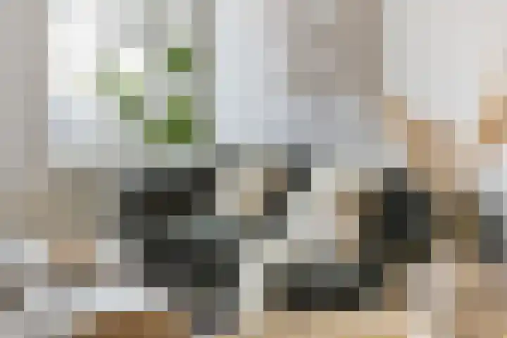 van Goorstraat 26 Breda thumbnail 10